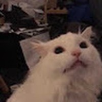 Profile Picture of Hayden Fraser (@hayden-fraser-17) on Quora