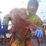 Profile Picture of Matthew Clancy (@matthew.clancy.378) on Instagram