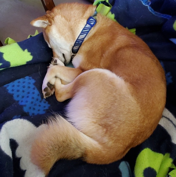 Profile Picture of Jessie Relford (@jessierelford) on Poshmark