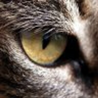 Profile Picture of Colostomy Bag (@SamSlander) on Twitter