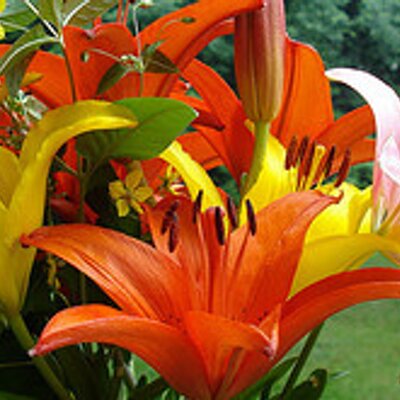 Profile Picture of Reginald Paul (@reginaldpaul57) on Twitter