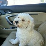 charlesmonette - Instagram Profile Picture of charlesmonette (@charlesmonette) on Instagram