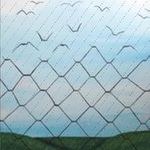 Profile Picture of Roxane Pfisterer (@alexisschoenig884) on Instagram