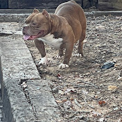 Profile Picture of Jerry Cooper (@JerryCooper-k6w) on Youtube