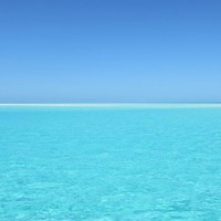 Profile Picture of Alice Dwyer (@alice-dwyer-8) on Quora