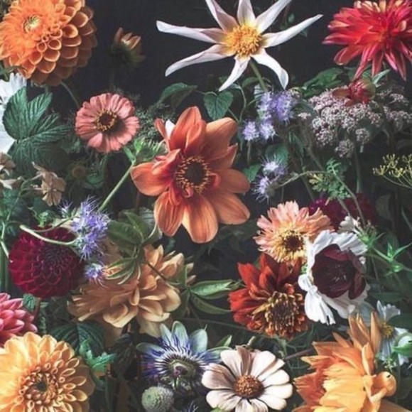 Profile Picture of Cathy Easson (@cathyeasson) on Poshmark