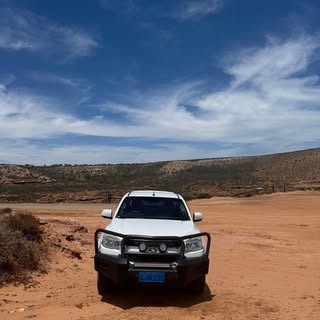 Profile Picture of Sam Moncrieff (@chunk_the_eclectus) on Instagram