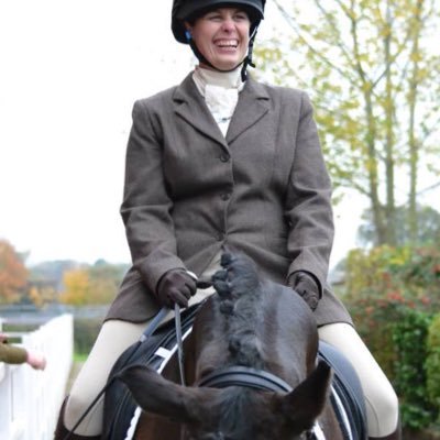 Profile Picture of Sarah Davey (@SmallBrownPony) on Twitter