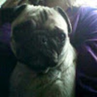 Profile Picture of Crystal Vincent (@crystal-vincent-40) on Quora