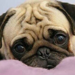 Profile Picture of Adolfo Miguel (@Adolfo-Miguel) on Facebook