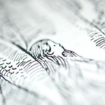 Profile Picture of Emily Lucile Barron (@bluemaskedpirate) on Flickr