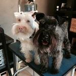 Profile Picture of Vicki Wicker (@wickervicki) on Instagram