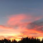 Profile Picture of Cheryl Travis (@cheryllrtraviss) on Instagram