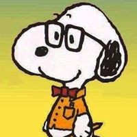 Profile Picture of Lionello Piccinno (@lionello-piccinno) on Quora