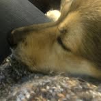 Profile Picture of Sheleen Nicklin (@sheleen.nicklin) on Facebook