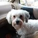 Profile Picture of Chuck Conner (@chuck.conner.3958) on Facebook