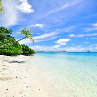 Profile Picture of Stacey BurnsWDavies (@staceywyndavies) on Twitter