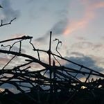 Profile Picture of Malcolm Hines (@malcolm.hines.56) on Instagram