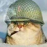 Profile Picture of Chris Blodgett (@c.s.blodgett) on Instagram