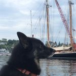 Profile Picture of John Cameron (@john_cameron_studio) on Instagram