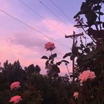 Profile Picture of 𝑴𝒂𝒓𝒕𝒊𝒏𝒆 𝑽𝒂𝒂𝒕𝒔𝒕𝒓𝒂 (@martinevaatstra) on Instagram