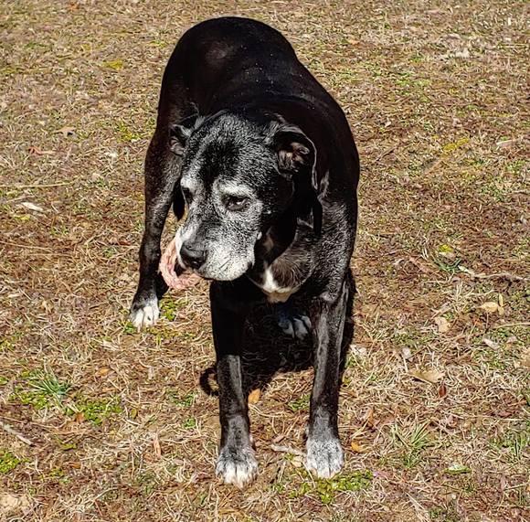 Profile Picture of Grant Foster (@grantfoster38) on Poshmark