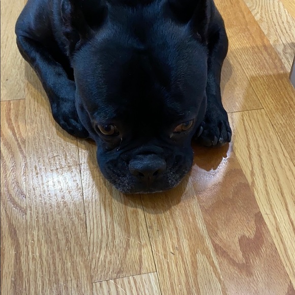 Profile Picture of Julie Zarrella (@jz852) on Poshmark