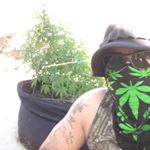 Profile Picture of Ray casarez (@ldprednxcn420) on Instagram
