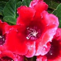 Profile Picture of Deb Burns (@deb-burns-3) on Quora