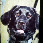 Profile Picture of Kyle Knouse (@kbkdvc214) on Instagram