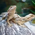 Profile Picture of Sylvia Grace (@sylvia.bates.7967) on Facebook