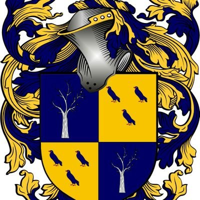 Profile Picture of Albert L Veldstra (@VeldstraL) on Twitter