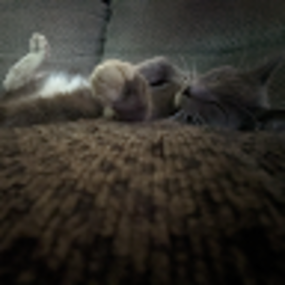 Profile Picture of Joslyn Mccleaft (@joslyn_sofia) on Poshmark