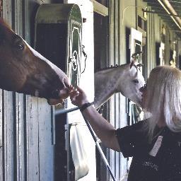 Profile Picture of NANCY Wilkinson (@Nan2390) on Twitter