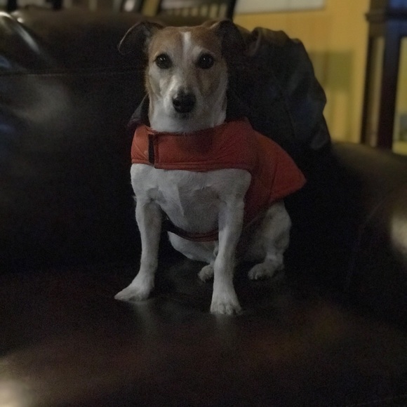 Profile Picture of Amanda Ojeda (@_amndax) on Poshmark