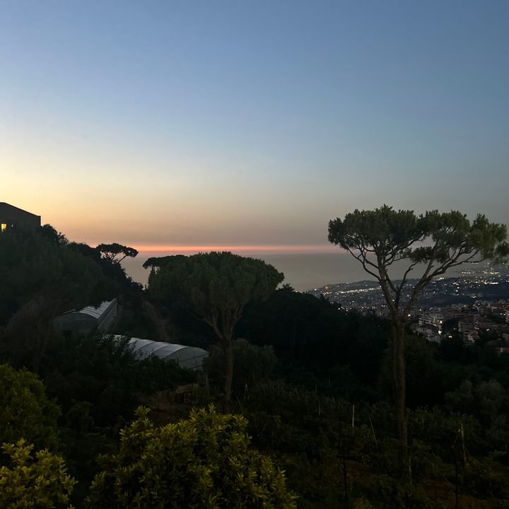 Profile Picture of tinamudarres (@tinamuddares) on Tiktok