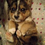 Profile Picture of Lucia Bottone (@lucia.bottone.583) on Instagram