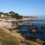 Profile Picture of Lisa Baroni Curtis (@lisabaronicurtis) on Instagram