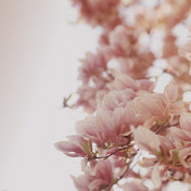 Profile Picture of Vivian Toledo (@v1407clt) on Youtube