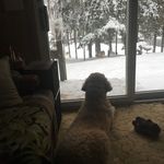 Profile Picture of James Spayd (@jamesspayd) on Instagram