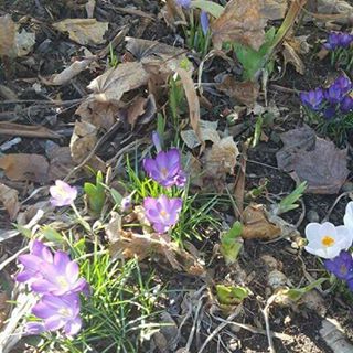 Profile Picture of Kim Milnes (@kim.milnes.3) on Facebook