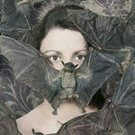 Profile Picture of Shirley Trejo (@starlingnoir) on Instagram