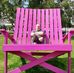 Profile Picture of Jean Ferre (@jean.ferre.3386) on Facebook