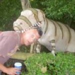 Profile Picture of Robert Beal (@bobbiebeal) on Instagram