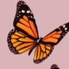Profile Picture of   Blakely🌻🌊(@blakely.landre... (@blakely.landreth) on Tiktok