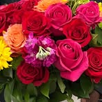 Eula Clarke - Facebook Profile Picture of Eula Clarke (@Eula-Clarke) on Facebook