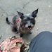 Profile Picture of Peter Dirksen (@peter.dirksen.165) on Facebook