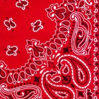 Profile Picture of Alexander Rupert (@alexander-rupert-2) on Quora