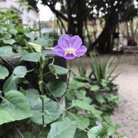 Profile Picture of Frank Nguyen (@frank-nguyen-116) on Quora