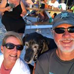 Jane-Brad Brigham - Instagram Profile Picture of Jane-Brad Brigham (@janebradbrigham) on Instagram